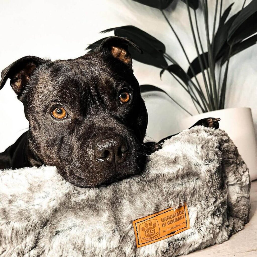 Snapinsta.app_431047302_18388022596074931_2187801836633707928_n_1080